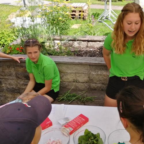 Teesackerln füllen mit frischen Kräutern