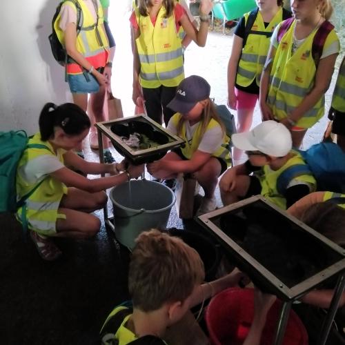 Melken will gelernt sein