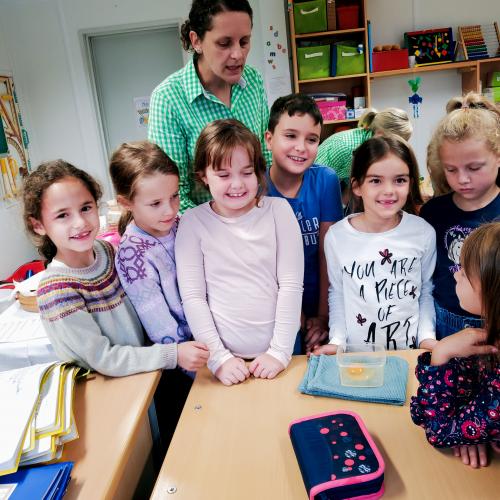 Wir schauen uns ein Hühnerei einmal genauer an