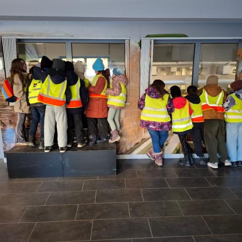 Kinder schauen in Halle