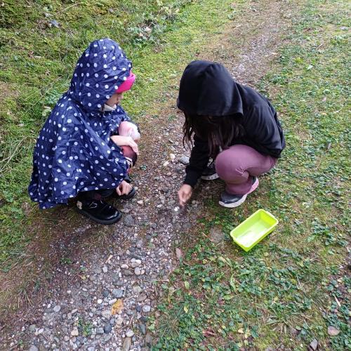 Wald 4
