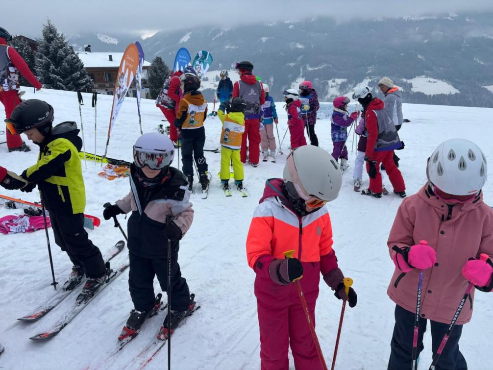 Einteilung der Gruppen