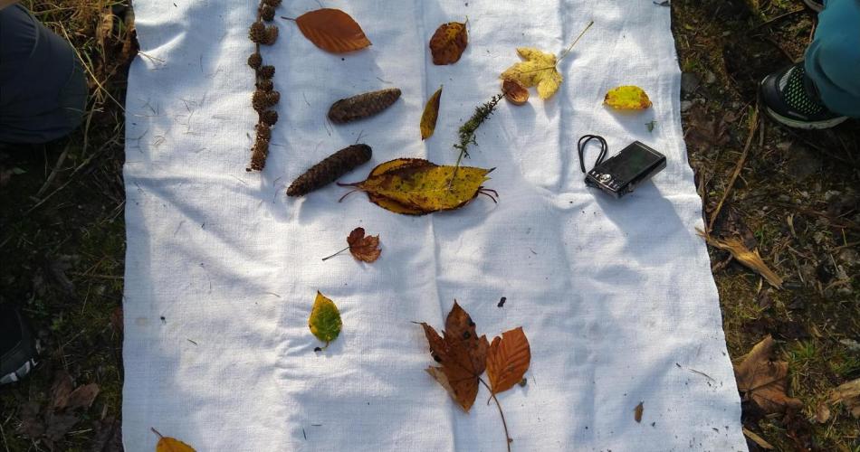 Das erinnert mich an Herbst